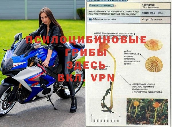 дистиллят марихуана Абинск